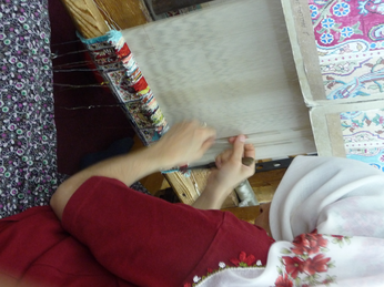 P1040583.JPG 3456x2592 index 339